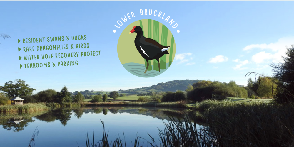 Lower Bruckland Farm Nature Reserve and Wildlife Gardens header