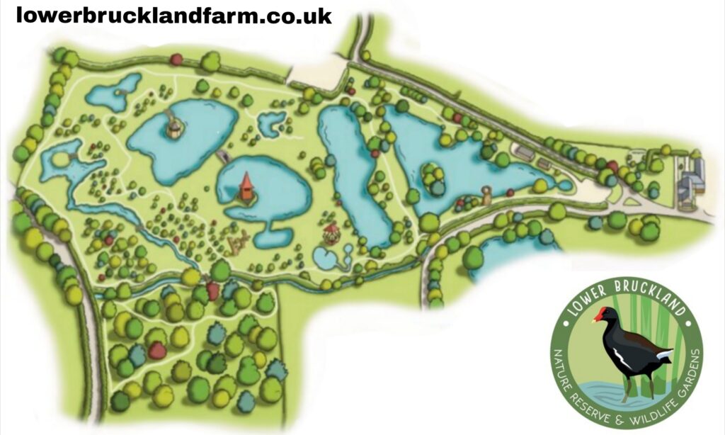 Illustrated map of Lower Bruckland Farm nature reserve